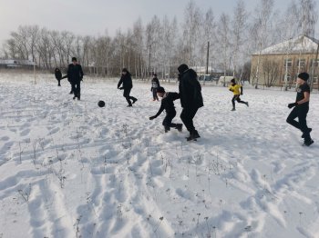 День снега